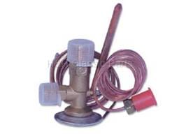 Expansion Valve